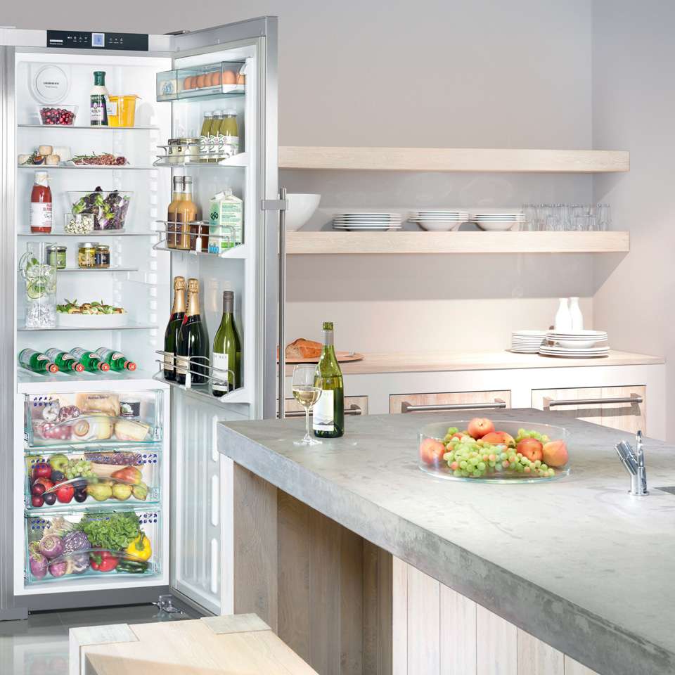 LIEBHERR SKBES 4210 FREESTANDING FRIDGE WITH BIOFRESH SKBes4210 - Image 3